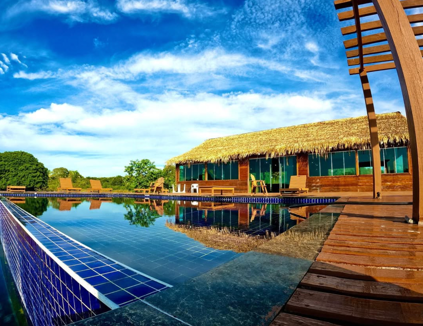 Amazon Tucuna Premium Package